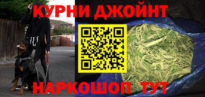 гидра Бузулук