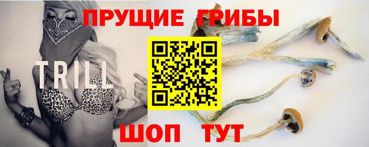 Псилоцибиновые грибы ЛСД Петропавловск-Камчатский