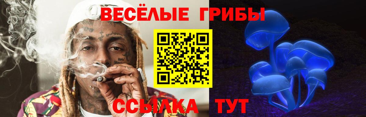 Галлюциногенные грибы прущие грибы  Вход с VPN  Петропавловск-Камчатский 